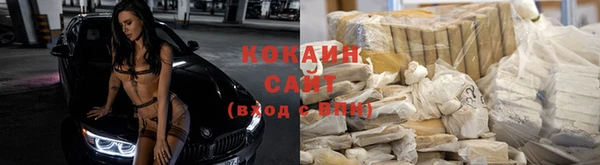 сатива Алексеевка