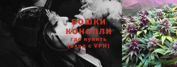хмурый Корсаков